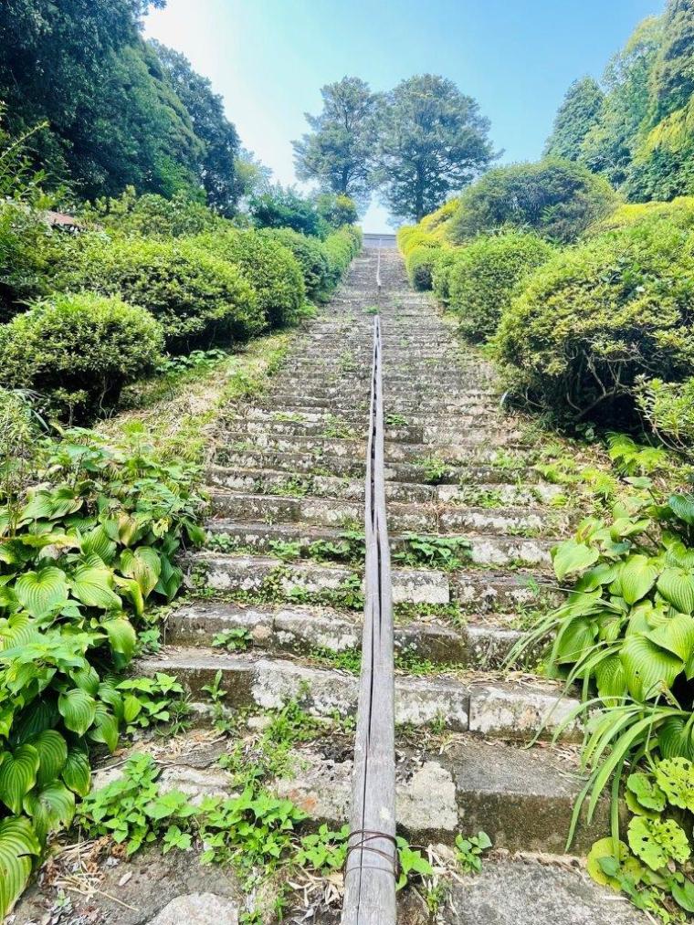 西の高野山ともいわれる島根県の「高野寺」。200 年前の色鮮やかな天井絵が圧巻！