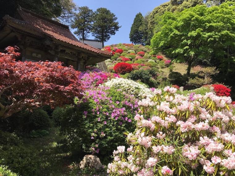 西の高野山ともいわれる島根県の「高野寺」。200 年前の色鮮やかな天井絵が圧巻！