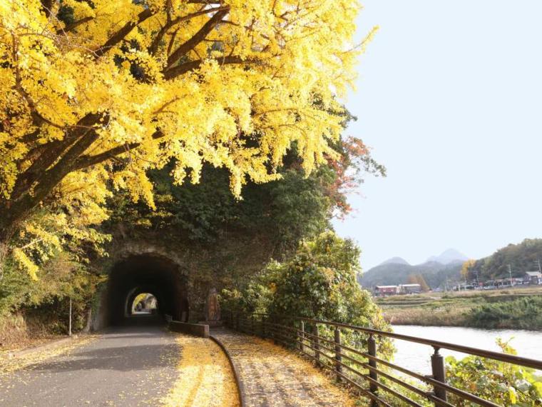 青の洞門