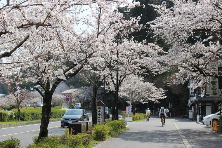 石山紫の道
