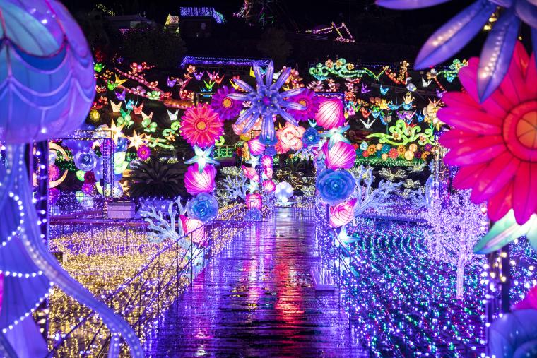 優秀技術賞の2位「伊豆ぐらんぱる公園」のイルミネーション