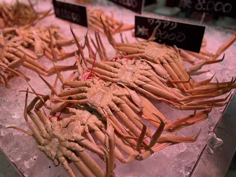  カニ専門店が教える！美味しいカニの見極め方・上手な食べ方｜境港水産物直売センター