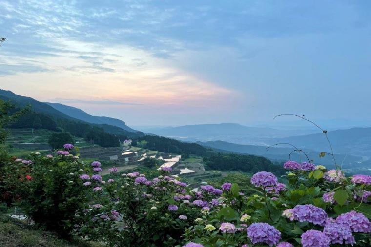 岳の棚田