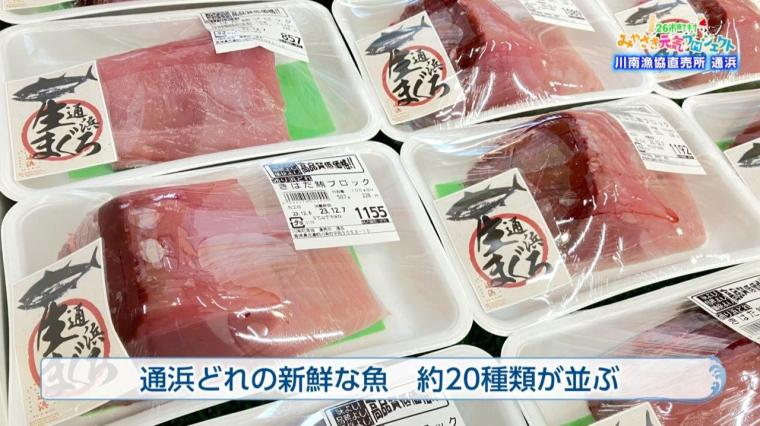 川南漁協直売所 通浜（とおりはま）