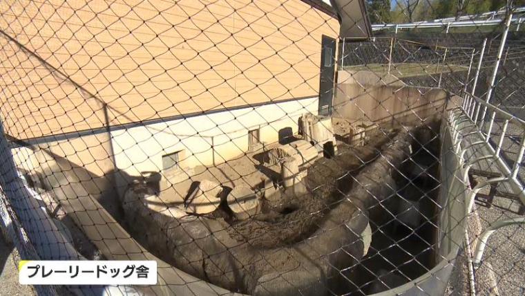 テレビ静岡