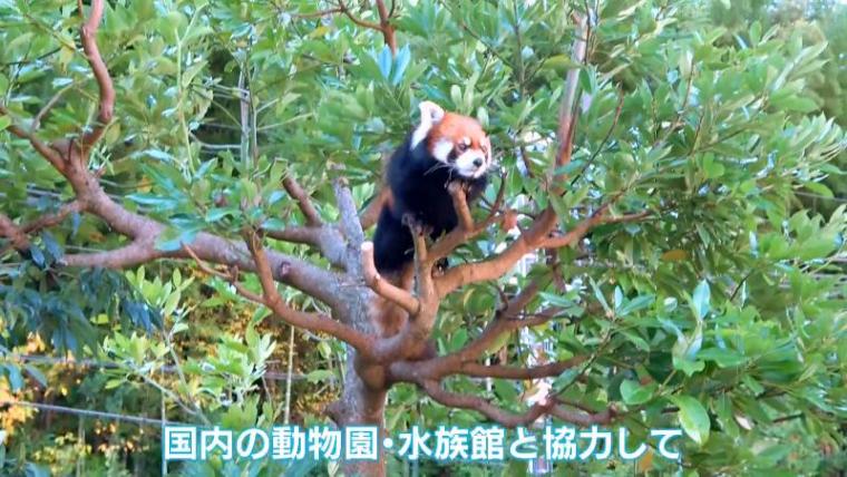 テレビ静岡