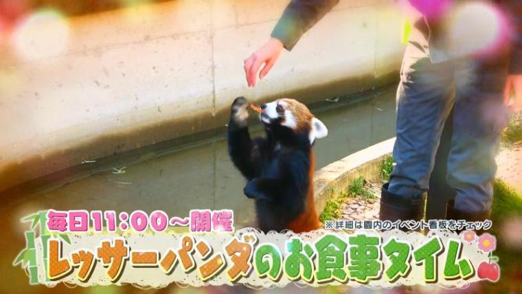 テレビ静岡