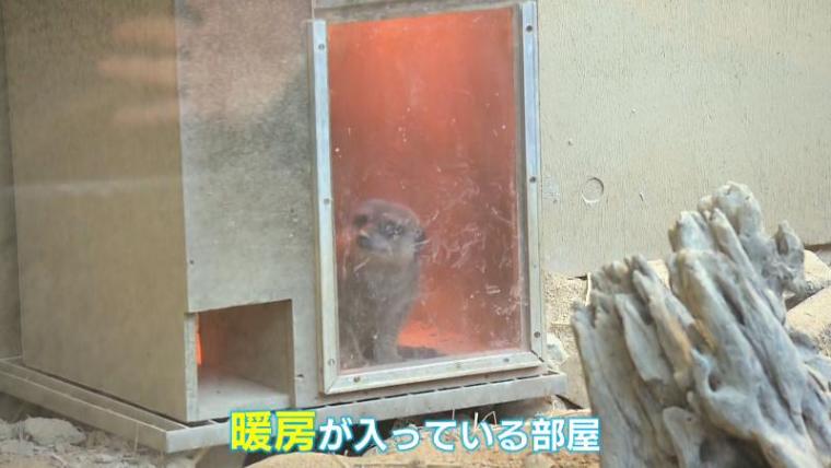 テレビ静岡