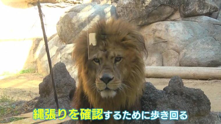 テレビ静岡