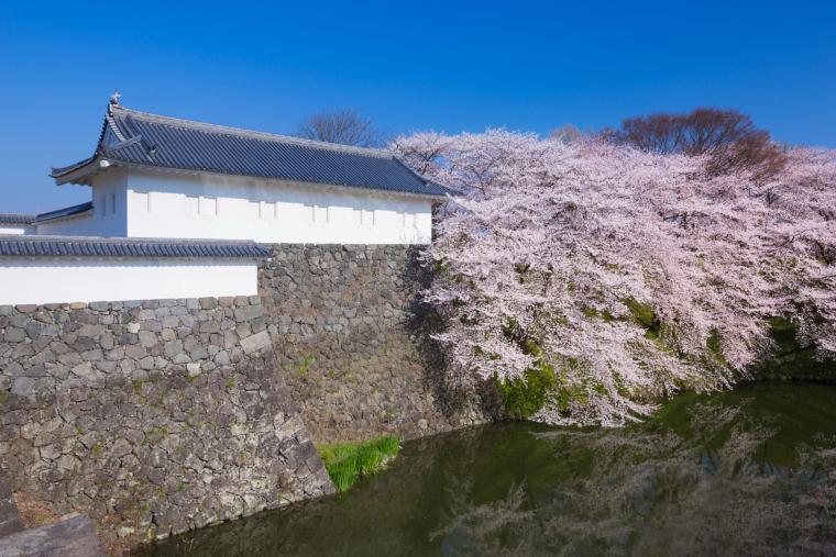 霞城公園