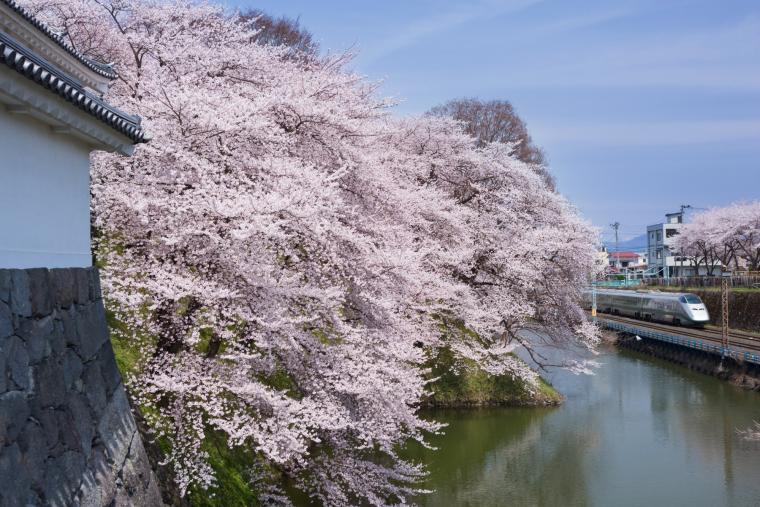 霞城公園