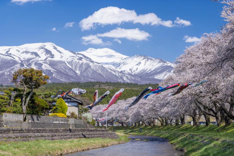 中山河川公園