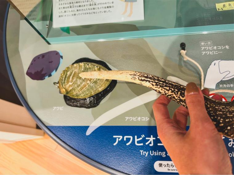 2024 年 3 月オープンの「青谷かみじち史跡公園」見るだけじゃない、体験して学べる新施設（鳥取県鳥取市）