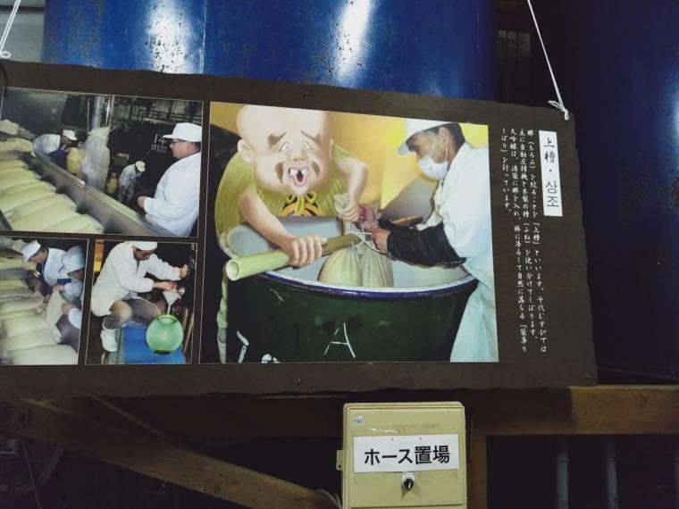 杜氏による解説付きの酒蔵見学もできる！水木しげるロード近くにある老舗「千代むすび」｜鳥取県境港市