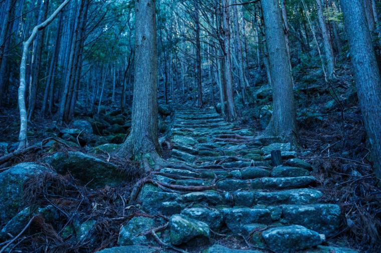 熊野古道 松本峠