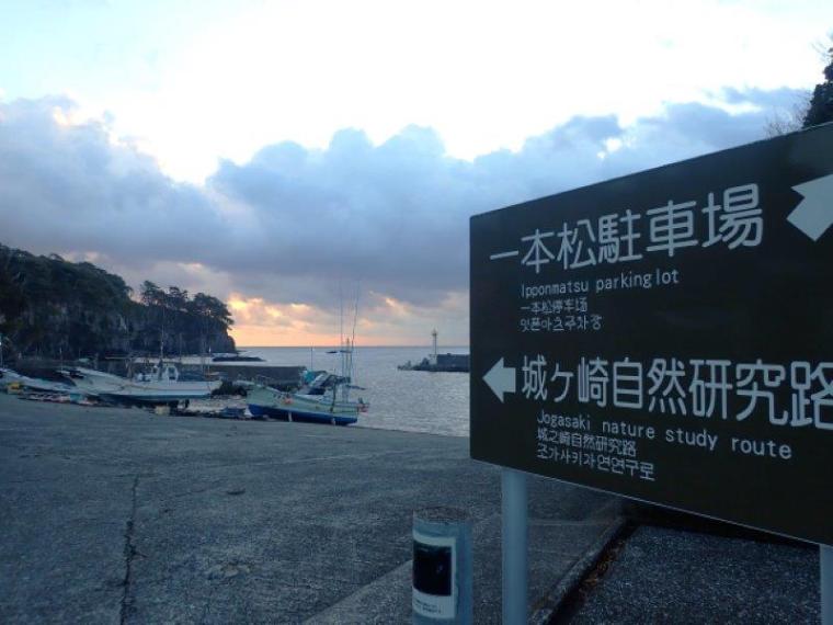 【伊東・城ヶ崎海岸】早朝がおすすめ！つり橋や自然観察路を歩く約40分コース