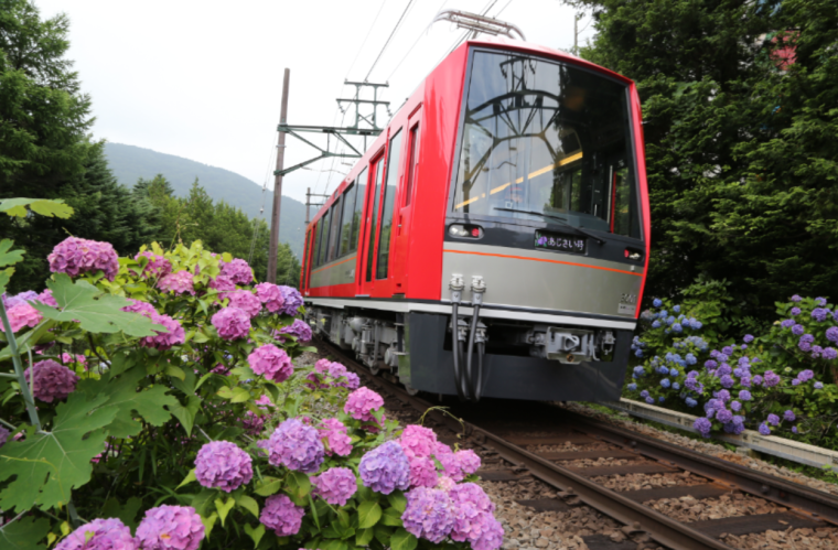 座席指定でゆったり！箱根の初夏の風物詩「夜のあじさい号」運行