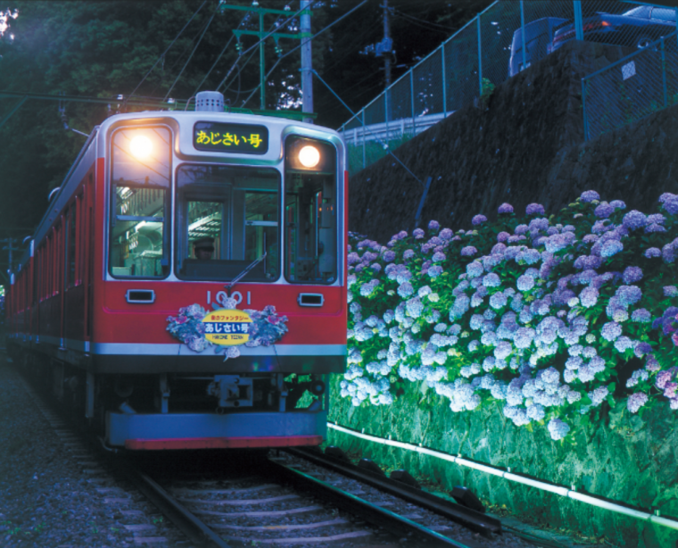座席指定でゆったり！箱根の初夏の風物詩「夜のあじさい号」運行