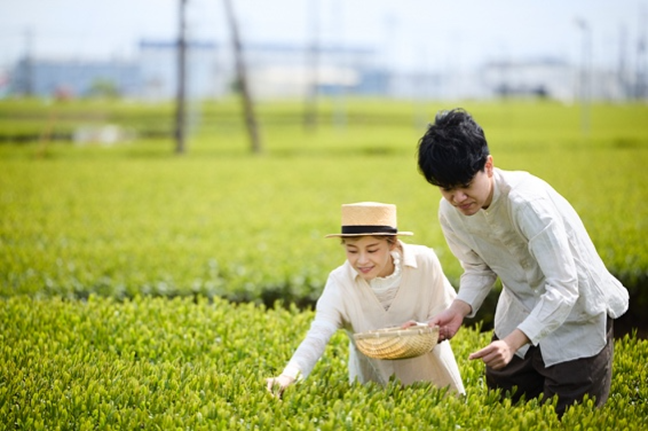 新プラン登場！新茶シーズンは「狭山茶」を五感で味わう絶景「茶畑テラス」へ！