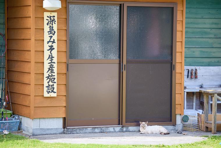 深島みそ生産施設