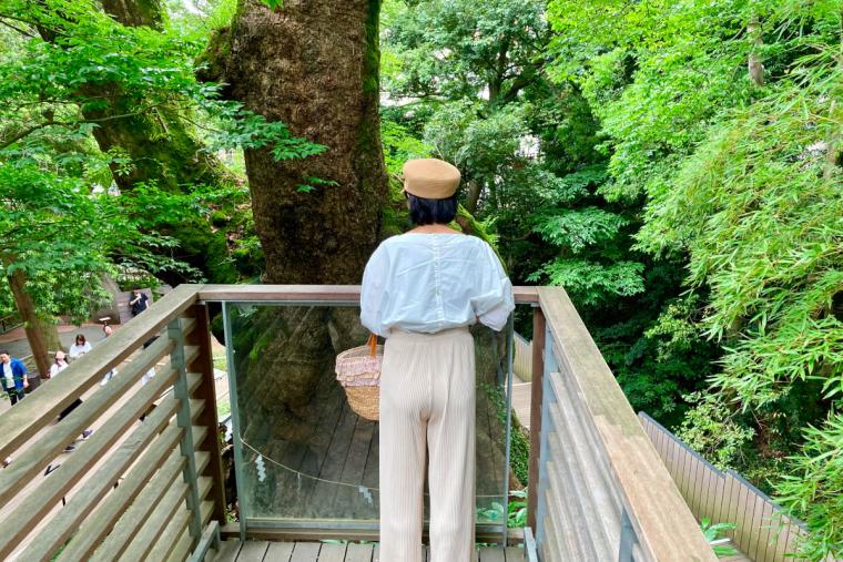 來宮神社