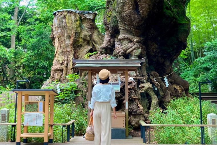 來宮神社