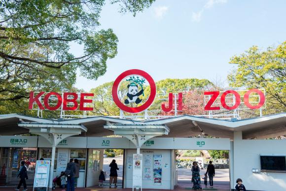 神戸・王子動物園