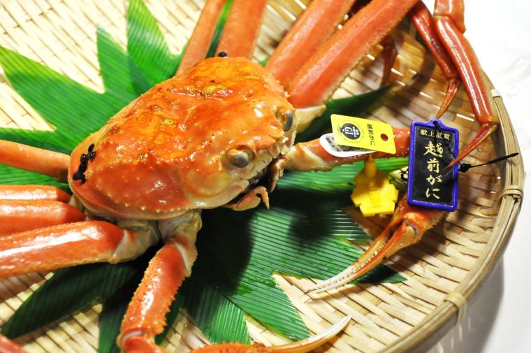 越前がに