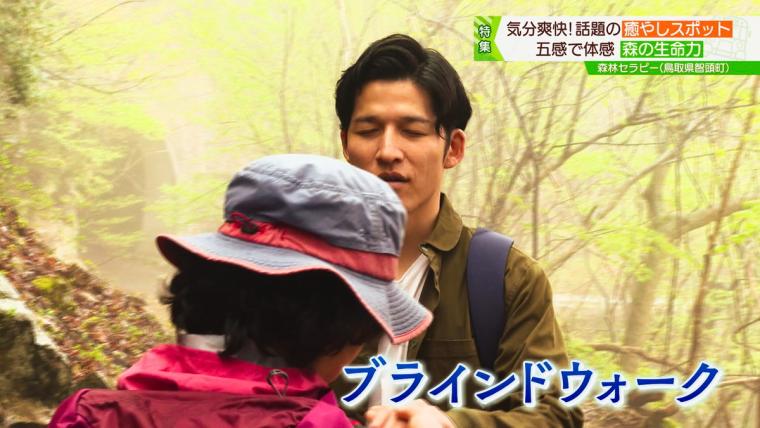 鳥取県智頭町で森林セラピー！森の爽やかな空気の中で心も体もリフレッシュ！