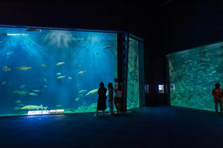 サケのふるさと 千歳水族館