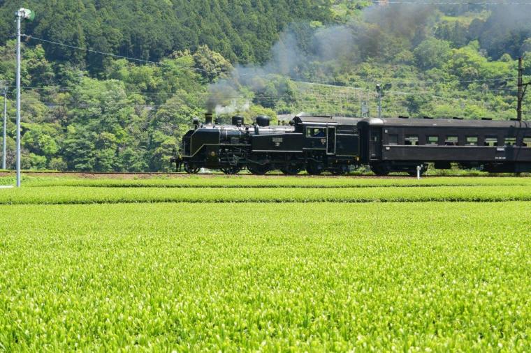 大井川鐡道