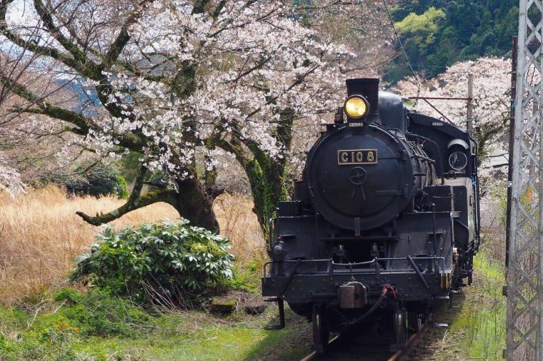 大井川鐡道
