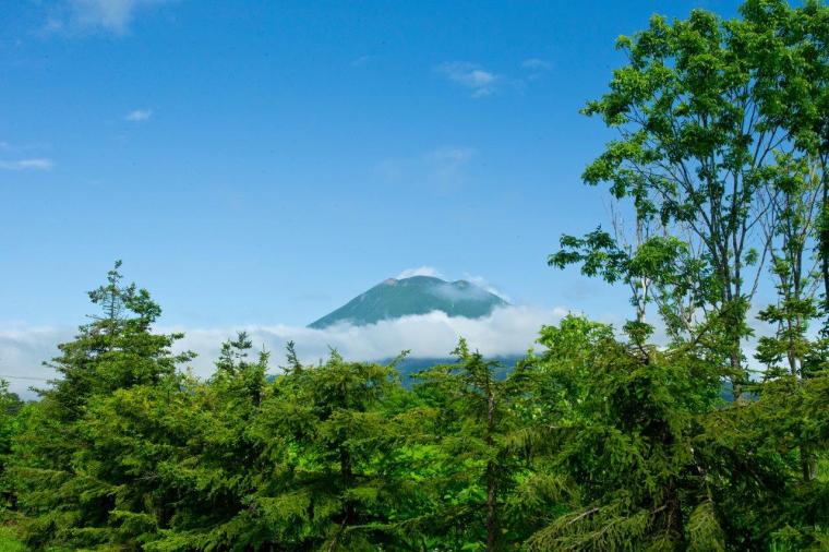 「ニセコ羊蹄の宿 楽 水山」
