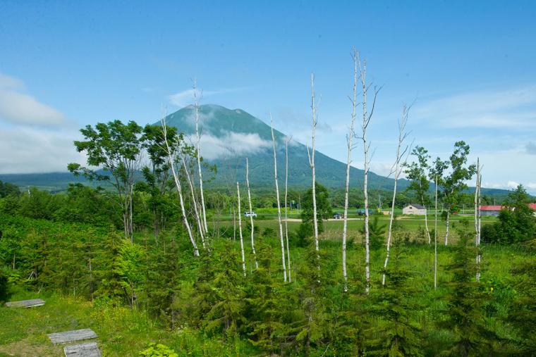 ニセコ羊蹄の宿 楽 水山