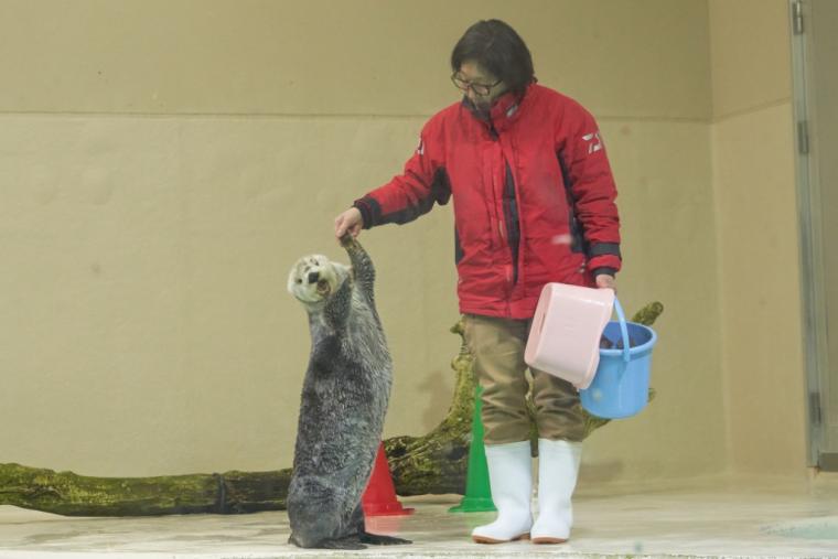 鳥羽水族館