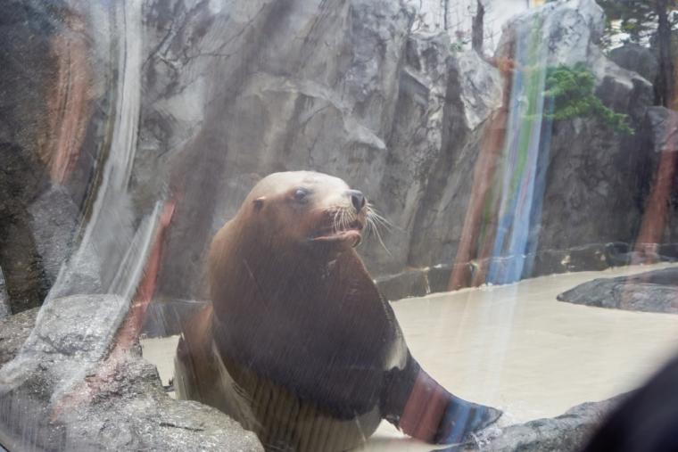 鳥羽水族館