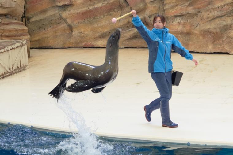 鳥羽水族館