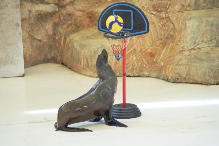 鳥羽水族館