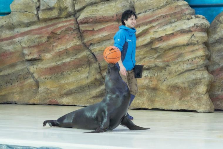 鳥羽水族館
