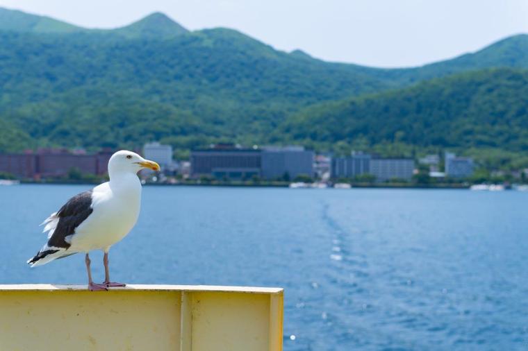 洞爺湖中島巡り遊覧