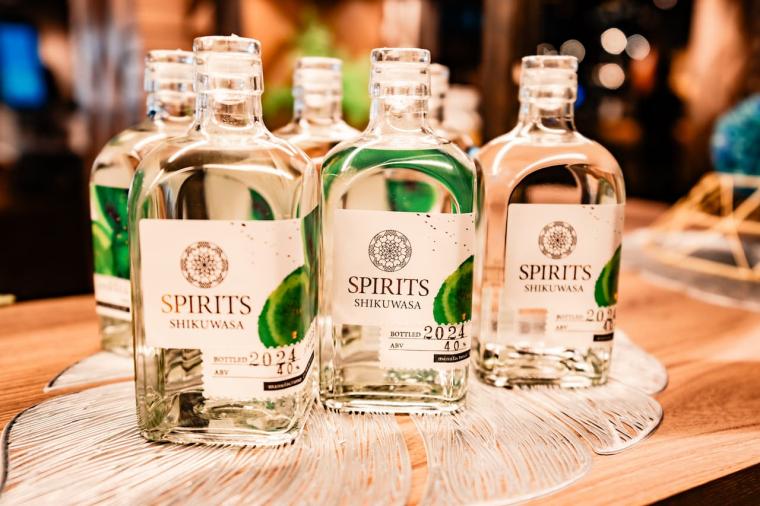 【沖縄】飲んで食べて！大人も満喫できるナゴパイナップルパークの遊び方（名護市）