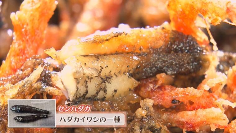 “駿河湾の宝石”サクラエビを食べたい!　迷ったらここへ 由比蒲原の名店3選 