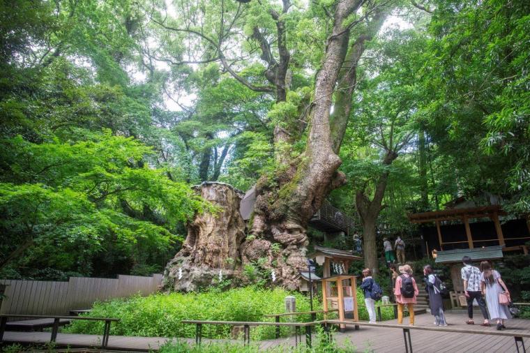來宮神社