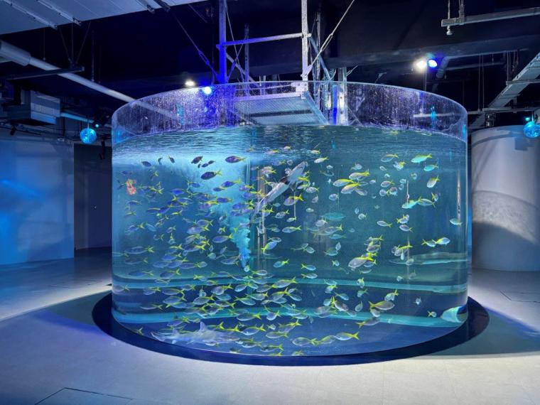神戸で1日デート・観光なら外せない！映えるアートがたくさん「AQUARIUM×ART átoa」の楽しみ方