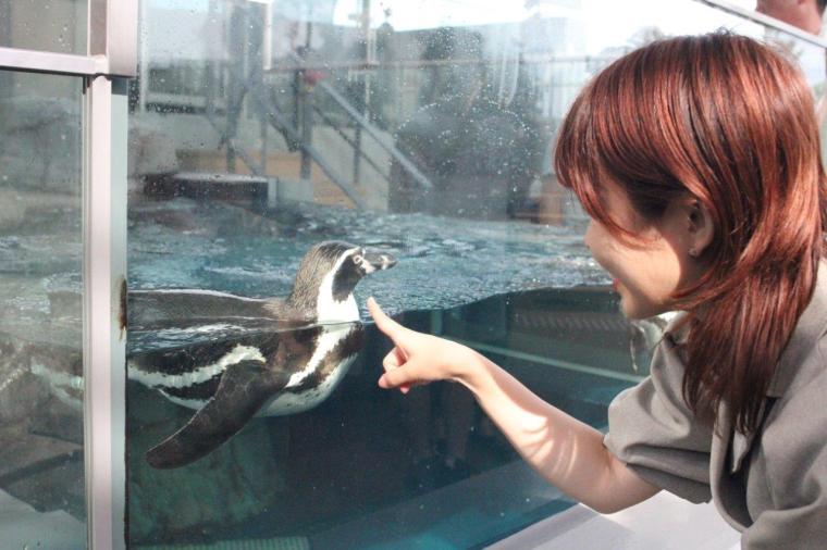 神戸で1日デート・観光なら外せない！映えるアートがたくさん「AQUARIUM×ART átoa」の楽しみ方