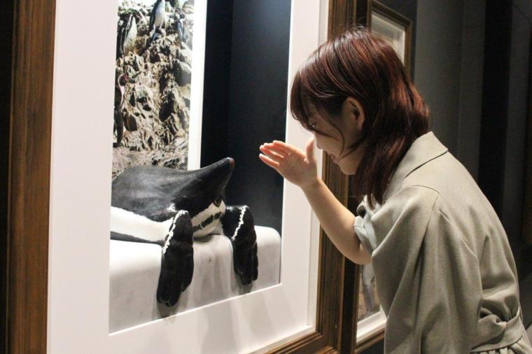 神戸で1日デート・観光なら外せない！映えるアートがたくさん「AQUARIUM×ART átoa」の楽しみ方
