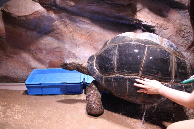 神戸で1日デート・観光なら外せない！映えるアートがたくさん「AQUARIUM×ART átoa」の楽しみ方