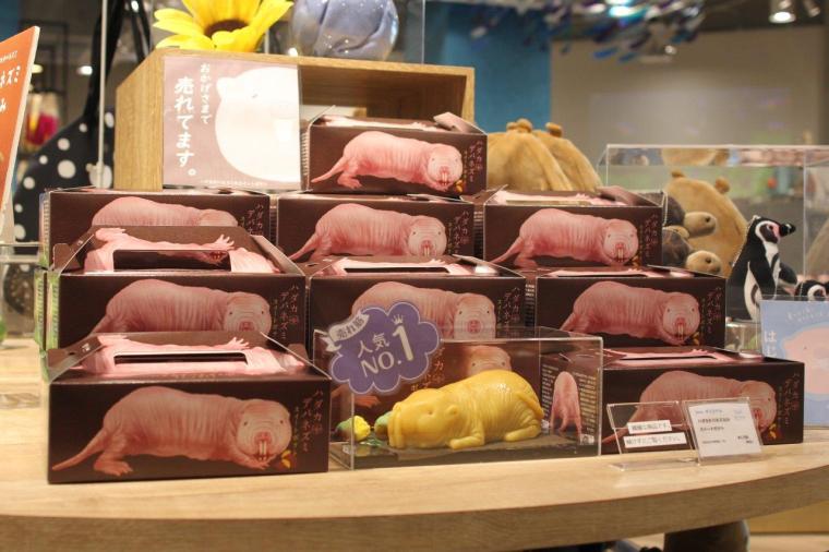 神戸で1日デート・観光なら外せない！映えるアートがたくさん「AQUARIUM×ART átoa」の楽しみ方