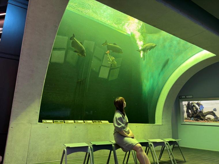 神戸で1日デート・観光なら外せない！映えるアートがたくさん「AQUARIUM×ART átoa」の楽しみ方