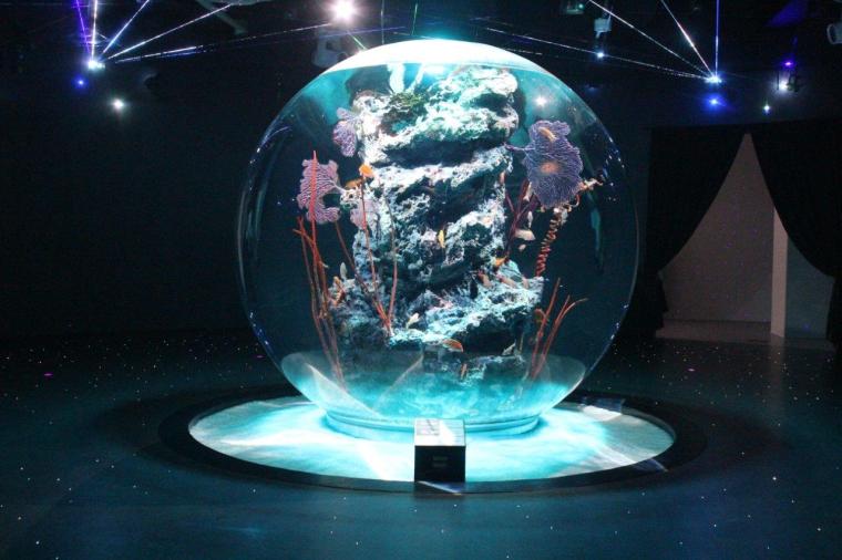 神戸で1日デート・観光なら外せない！映えるアートがたくさん「AQUARIUM×ART átoa」の楽しみ方